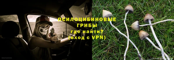 ПСИЛОЦИБИНОВЫЕ ГРИБЫ Алексин
