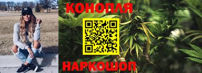 гашик Кулебаки