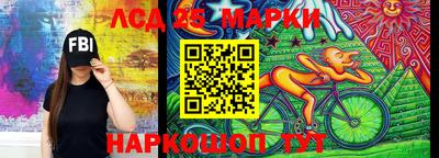 гашик Кулебаки