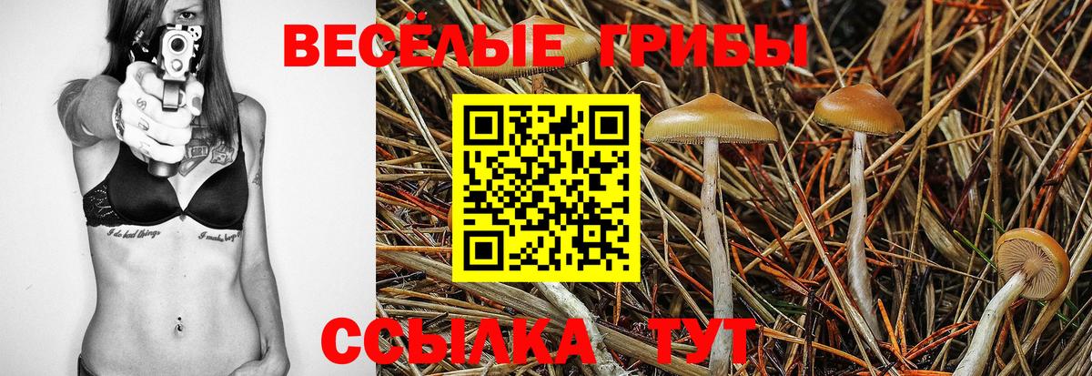 Галлюциногенные грибы Psilocybe  Вход с VPN  Псилоцибиновые грибы Cubensis  Коркино 